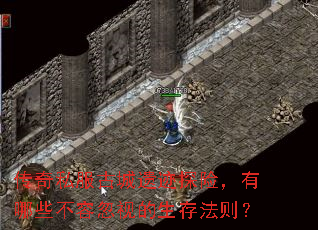 ����˽���ų��ż�̽�գ�����Щ���ݺ��ӵ����淨��