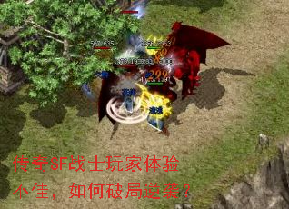 ����SFսʿ������鲻�ѣ�����ƾ���Ϯ��