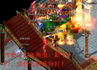 ������Ͷ�ǳ棺�������ţ�ѡʲôְҵ�ô�