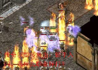 ������Ͷ�ǳ棺�������ţ�ѡʲôְҵ�ô�