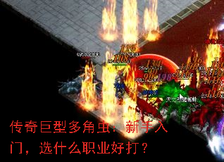 ������Ͷ�ǳ棺�������ţ�ѡʲôְҵ�ô�