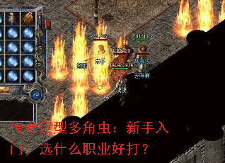 ������Ͷ�ǳ棺�������ţ�ѡʲôְҵ�ô�