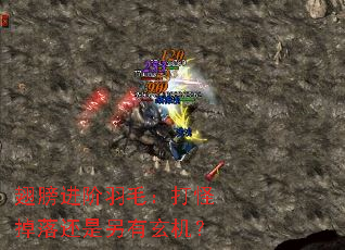 ��������ë����ֵ��仹������������