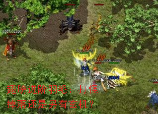 ��������ë����ֵ��仹������������