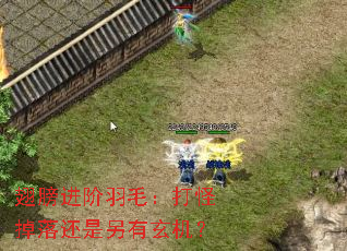 ��������ë����ֵ��仹������������