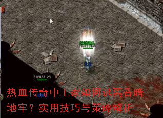 ��Ѫ�����������������谵���Σ�ʵ�ü�������Խ���