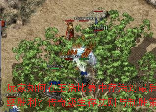 ����������������д���󲢶�ȡ����ʤ�������漶���淨������ʤ����ȫ����