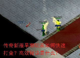 �����·����������ο��ٴ�𣿸�Ч�ؾ���ʲô��