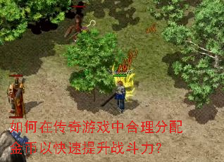 ����ڴ�����Ϸ�к����������Կ�������ս������