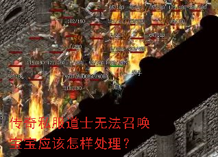 ����˽����ʿ�޷��ٻ�����Ӧ������������