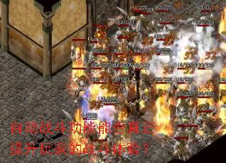 �Զ�ս�������ܷ�����������ҵ�ս�����飿