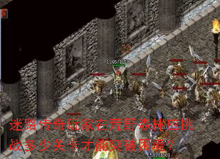 ��·��������ڻ�Ұɭ��Ӧ��ս���ٹؿ�����ͻ��������
