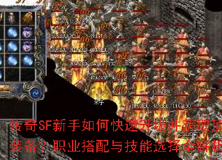 ����SF������ο�����������ȡ����װ����ְҵ�����뼼��ѡ��ȫ������