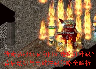 ����˽�����Ϊ�γ��Է�����������󶯻����Ч�弶����ȫ����