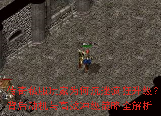 ����˽�����Ϊ�γ��Է�����������󶯻����Ч�弶����ȫ����