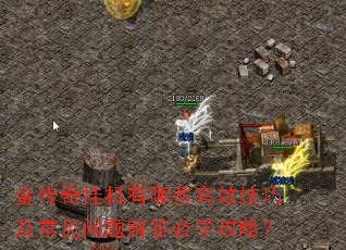 ����һ�����Щ��Ч���ɼ������������ѧ���ԣ�