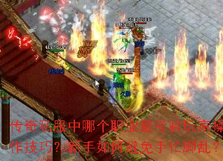 ����˽�����ĸ�ְҵ�����Ҳ������ɣ�������α�����æ���ң�