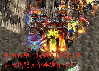 ��ѩ�����������θ�Ч�����������Ӣ�����ݣ�