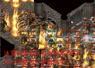 ��ѩ�����������θ�Ч�����������Ӣ�����ݣ�