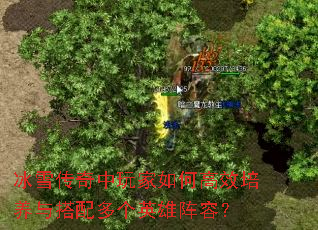 ��ѩ�����������θ�Ч�����������Ӣ�����ݣ�