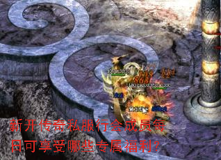 �¿�����˽���л��Աÿ�տ�������Щר��������