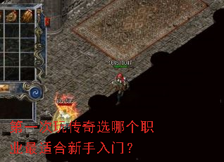 ��һ���洫��ѡ�ĸ�ְҵ���ʺ��������ţ�