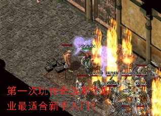 ��һ���洫��ѡ�ĸ�ְҵ���ʺ��������ţ�