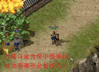 �ڸ񶷽�����Я��ս��������Щ�ر����ɣ�