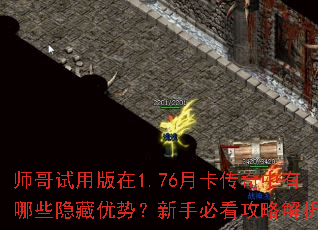 ʦ�����ð���1.76�¿�����������Щ�������ƣ����ֱؿ����Խ�����