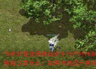 ����SF��������ս�����뻧��PK��ʤ�ؾ���ʲô����ο�������ʤ�ʣ�