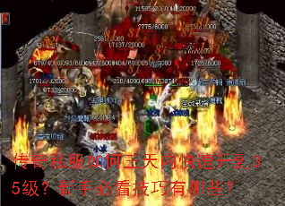 ����˽����������ڿ�������35�������ֱؿ���������Щ��