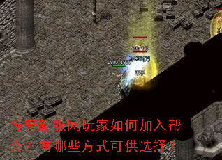 �����·��������μ����᣿����Щ��ʽ�ɹ�ѡ��