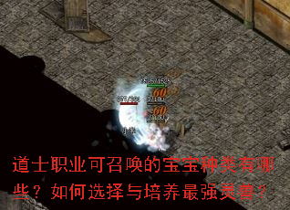 ��ʿְҵ���ٻ��ı�����������Щ�����ѡ����������ǿ���ޣ�
