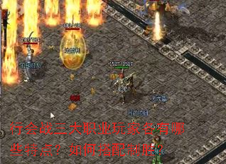�л�ս����ְҵ��Ҹ�����Щ�ص㣿��δ�����ʤ��