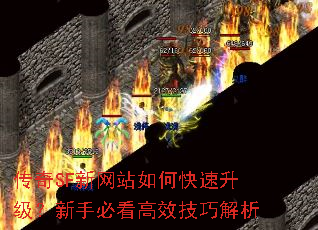 ����SF����վ��ο������������ֱؿ���Ч���ɽ���