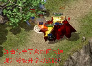 �������������ο��������ȼ���ѧϰ���ܣ�