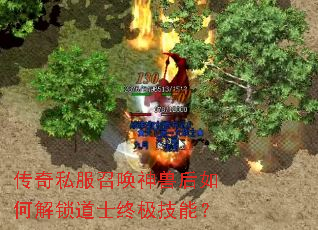 ����˽���ٻ����޺���ν�����ʿ�ռ����ܣ�