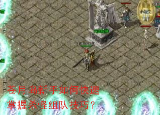 ���µ�������ο�������ɱ����Ӽ��ɣ�