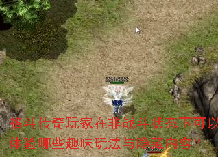 �񶷴�������ڷ�ս��״̬�¿���������ЩȤζ�淨���������ݣ�