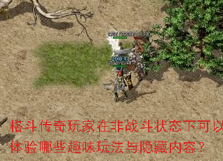 �񶷴�������ڷ�ս��״̬�¿���������ЩȤζ�淨���������ݣ�