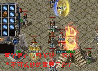 ����ֵ�ڴ�����Ϸ������Щ���ɻ�ȱ����Ҫ��;��