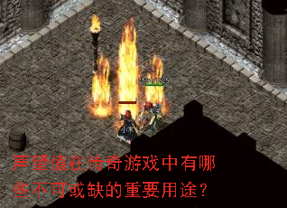 ����ֵ�ڴ�����Ϸ������Щ���ɻ�ȱ����Ҫ��;��