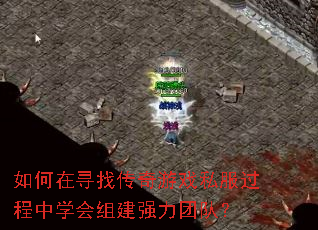 �����Ѱ�Ҵ�����Ϸ˽��������ѧ���齨ǿ���Ŷӣ�