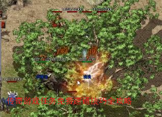 ������Ϸ���������ͨ����ȫ����