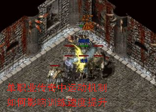 ��ְҵ�������˶��������Ӱ��ѵ���ٶ�����