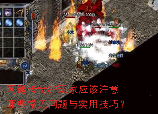 ��ͨ����SF���Ӧ��ע����Щ����������ʵ�ü��ɣ�