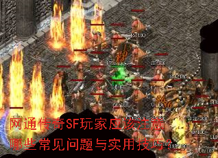 ��ͨ����SF���Ӧ��ע����Щ����������ʵ�ü��ɣ�