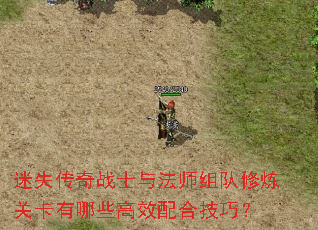 ��ʧ����սʿ�뷨ʦ��������ؿ�����Щ��Ч��ϼ��ɣ�