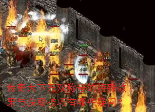 ����������˫�ƺŵ�����Ч�����ȡ��������Щ���ʣ�