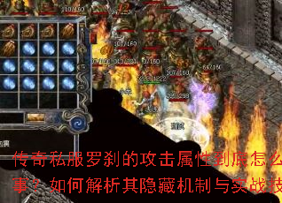 ����˽����ɲ�Ĺ������Ե�����ô���£���ν��������ػ�����ʵս����